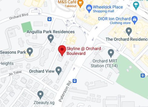 Skyline @ Orchard Boulevard Maps